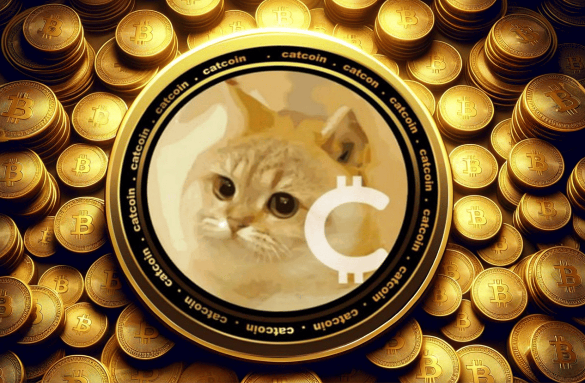 Catcoin's Meow: Altcoin Eyes Exponential Gains Amidst Crypto's Allure