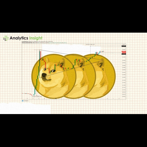 Dogecoin Price Forecast 2025: Factors Molding the Cryptocurrency's Future