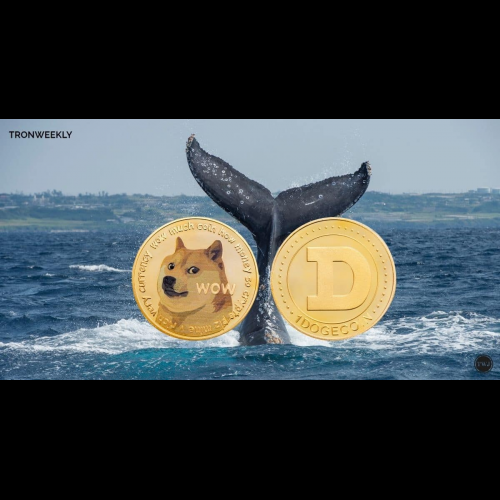 Dogecoin Set to Rocket: Analysts Predict Climb to $0.30