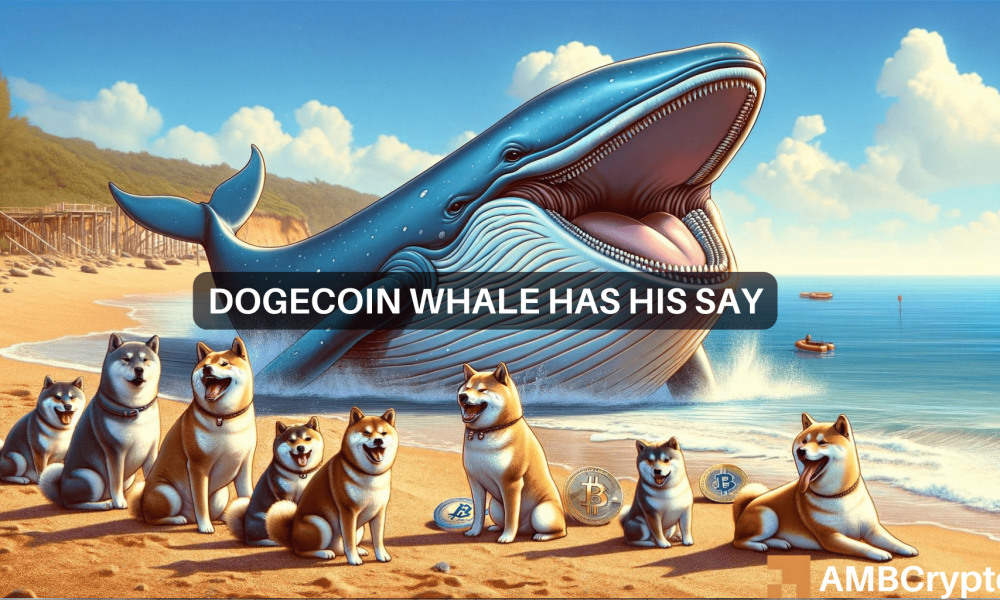 Dogecoin Whale Transfer Raises Concerns Amid Soaring Price Rally