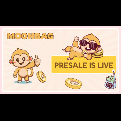 MoonBag Launches Revolutionary Pre-Sale, Addressing Crypto's Prevailing Woes
