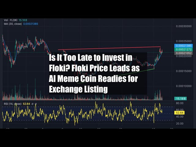 Is It Too Late to Invest in Floki? Floki Price Leads as AI Meme Coin