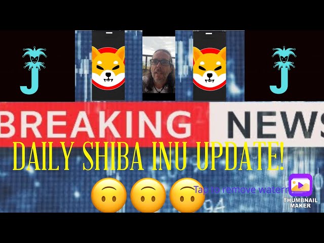 SHIBA INU COIN | SHIB DAILY UPDATE | SHIB NEWS TODAY | SHIB PRICE PROJECTION | SHIB BURN CHANNEL