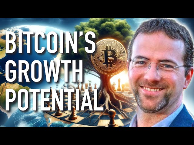 Bitcoin's Potential, Challenges, and Game Theory | Tuur Demeester | BFM047