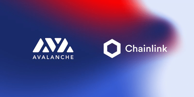 Koala Coin Presale Beckons Avalanche and Chainlink Investors