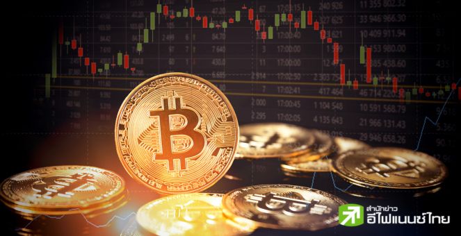Crypto Market Remains Steady as Bitcoin Struggles