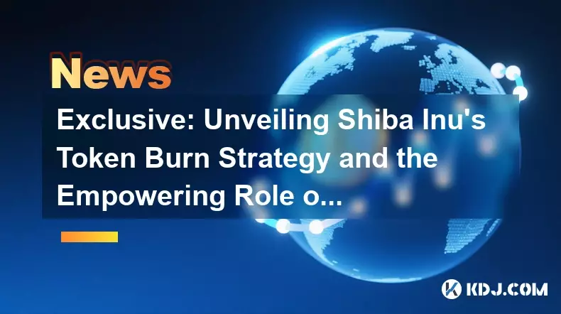 独家：揭秘柴犬的代币销毁策略和社区的赋权作用