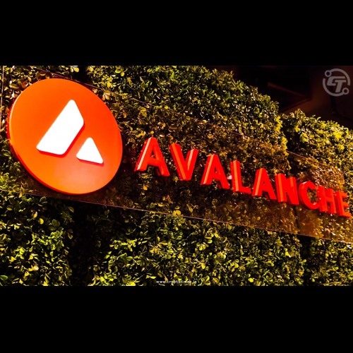 Avalanche 和 Salvor 聯手打造革命性 NFT 借貸聯盟