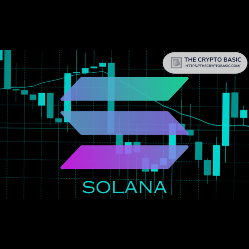 Solana's Meme Coin Trio Soars Amidst Market Bullishness