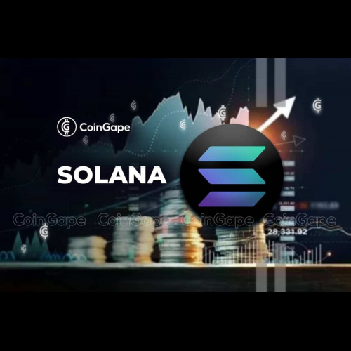 Solana-Konkurrenten: Grundlegende Portfolioanalyse für kluge Anleger