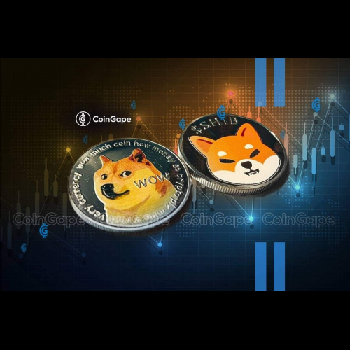 Memecoin 在市場波動中反彈：Dogecoin 和 Shiba Inu 預計將實現 100% 以上的上漲