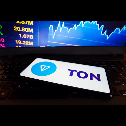 Der Start der Notcoin-Börse steigert die Popularität, Toncoin boomt