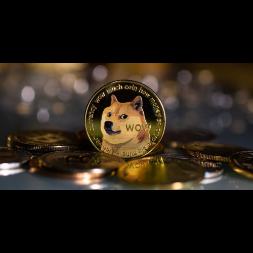 Meme Coin Craze Resurges with Dogecoin's Surge