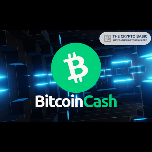 Die Aufwärtsdynamik von Bitcoin Cash nimmt zu, da große Transaktionen zunehmen