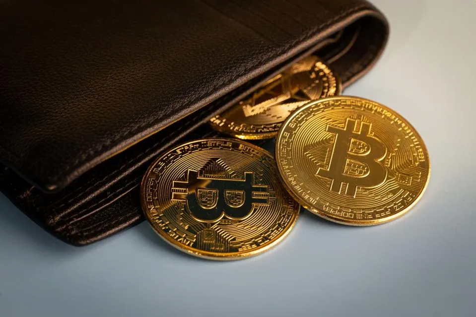 Bitcoin- und Kryptowährungs-Wallets: Der Beginn der dezentralen Finanzrevolution