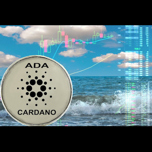 Cardano monte en flèche : la « zone d'accumulation » renforce la montée en puissance