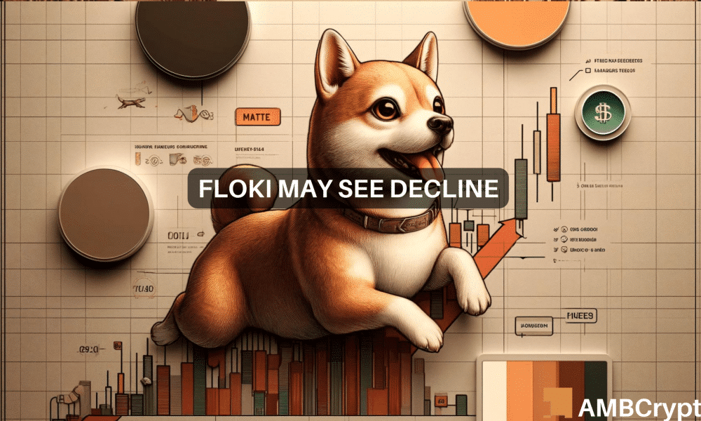 FLOKI의 급격한 상승은 경고의 조짐을 나타냅니다.