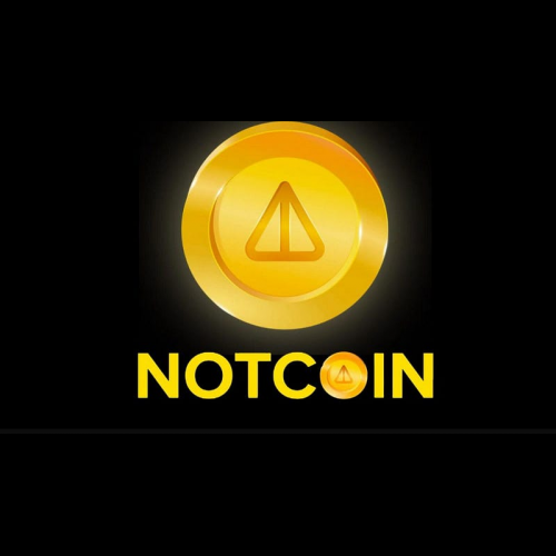 Notcoin's Boom and Bust: A Cautionary Tale for Crypto Investors