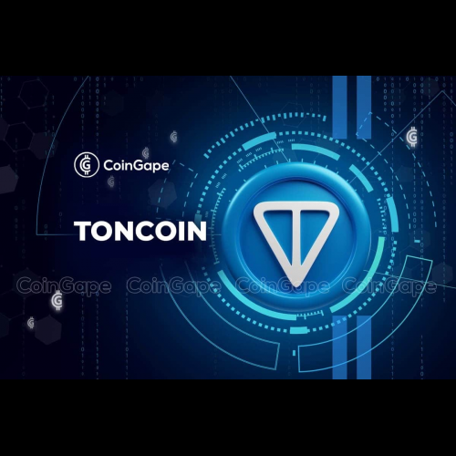 儘管市場反彈，Toncoin仍暴跌