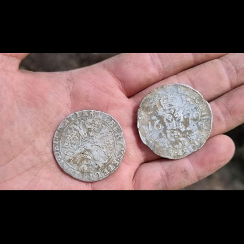 Metal Detectorists Unearth Treasure Trove of Coins That May Have Belonged to a Charlatan Who Hid in the Mountains of Poland After Swindling People Out of Their Money