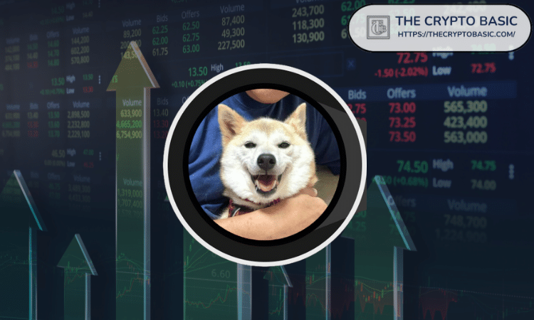 在领先的加密货币交易所币安推出其美元本位永续合约后，ETH 上的 Neiro (NEIRO) 大幅飙升超过 600%。