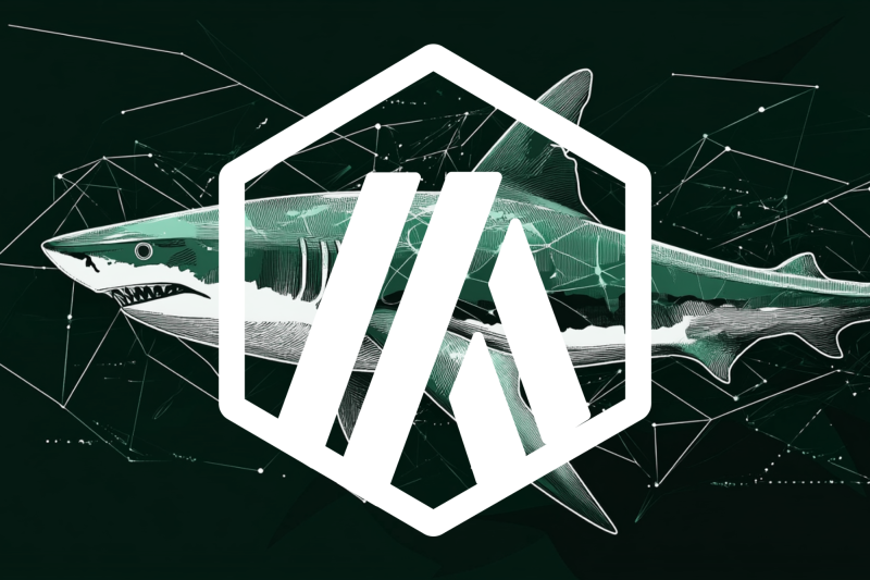 Lunex Network (LNEX): 블록체인 기술에 대한 포괄적인 접근 방식으로 차별화되는 유망한 DeFi 암호화폐