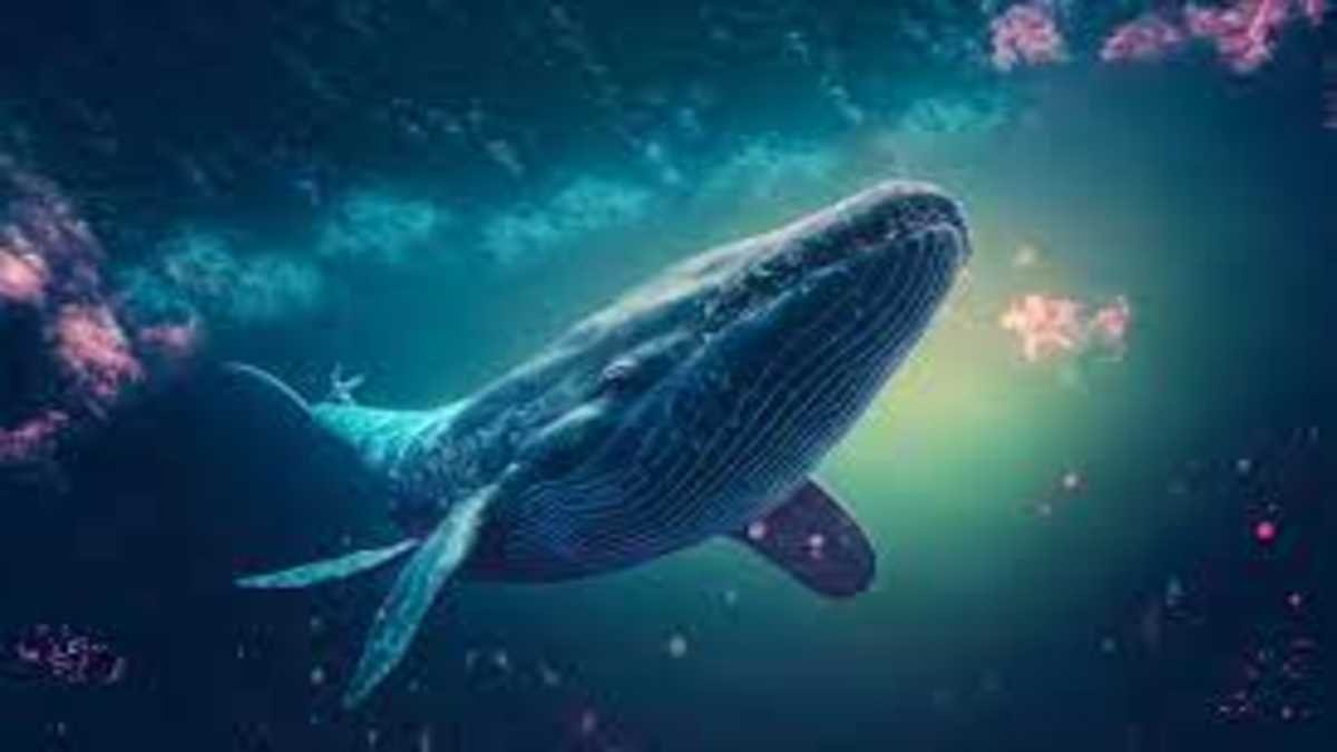 Meme 코인의 불확실한 길: Dogecoin(DOGE), PEPE 및 RBLK