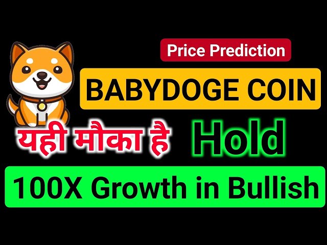 🚀 Baby Doge Coin 随时都会发力 | Babydoge 100 倍利润 | Babydoge 币价格预测 |