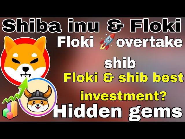 Floki overtakes shib ( in price) shib & floki best investment? Holders must watch| shiba coin,floki