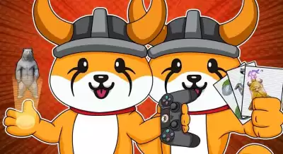 Hat die FLOKI-Münze einen Investitionswert? Hat die FLOKI-Münze einen Investitionswert?