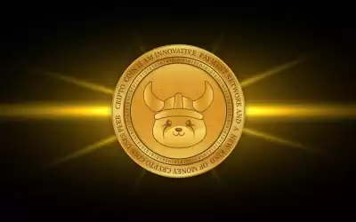 Can FLOKI coins be invested?