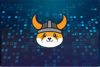 What are the formal platforms for FLOKI currency? What are the formal platforms for FLOKI currency?