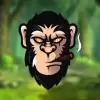 Bitcoin Ape