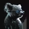 Trader Koala