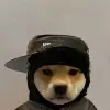 Rep