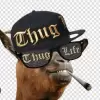 Mr. Crypto Degen