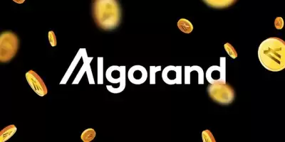 ALGOコインを購入する操作プロセスは何ですか? ALGOコインを購入する際に注意すべき点は何ですか?