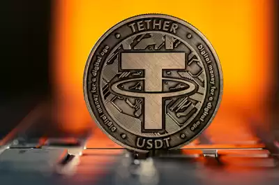 best cold wallet for usdt best cold wallet for usdt