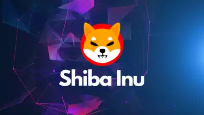 wie man Shiba Inu abbaut