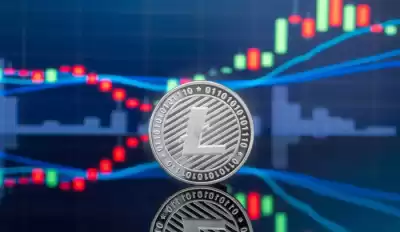 Wie sind die Aussichten für LTC-Münzen? Ein Artikel stellt die Aussichten und den Wert von LTC-Münzen vor