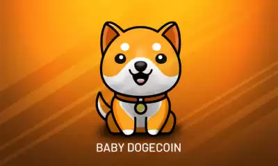 Wer ist der Gründer der BABYDOGE-Münze? Vorstellung des Gründers von BABYDOGE Coin und seines Teams Wer ist der Gründer der BABYDOGE-Münze? Vorstellung des Gründers von BABYDOGE Coin und seines Teams