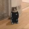 Nico