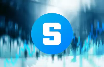 Quel est le processus opérationnel d’achat de pièces SAND ? À quels problèmes faut-il prêter attention lors de l’achat de pièces SAND ?