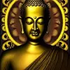 Bitcoin Buddha