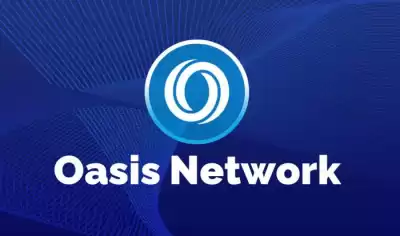 What is the investment prospect of ROSE coin?