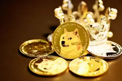 Qu'est-ce que le contrat Dogecoin