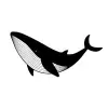 Whale Watch