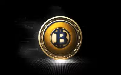 What wallet is best for Bitcoin Gold?