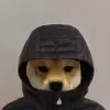 Kamo