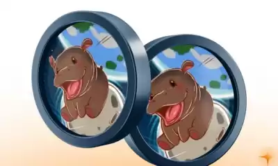 Wie viel wird die Währung BOB (ETH) erreichen? Wie viel wird die Währung BOB (ETH) erreichen?